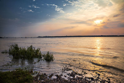 Scenic view of beach at sunset