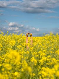 Scenic view of oilseed rape field against sky