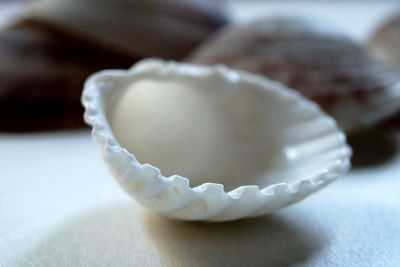 Close-up of food