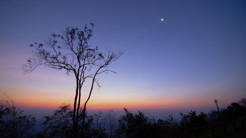 Silhouette of trees against sky at dusk