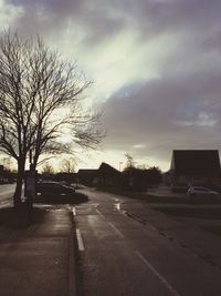 Road by bare trees against cloudy sky