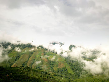 Aerial view lush green tropical rain forest mountain with rain cloud cover