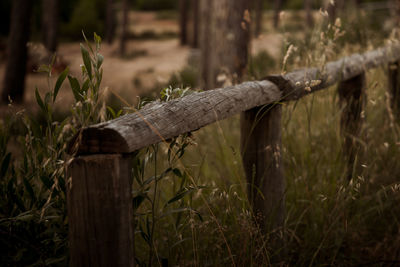 Close-up of wooden fence on field