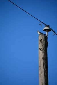 Low angle view of bird perching on wooden post against sky