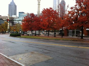 Autumn leaves on road