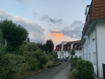 Road amidst trees and buildings against sky