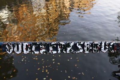 Reflection of trees in water