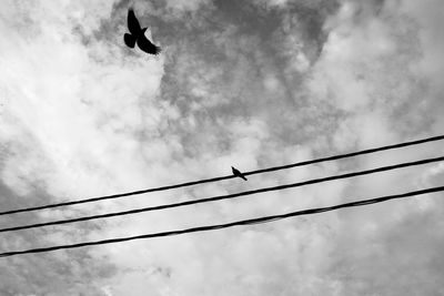 Low angle view of birds flying against sky