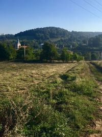 Scenic view of field against clear sky