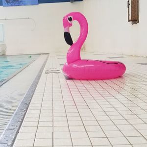 Toy car on swimming pool