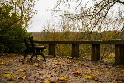 Empty bench in park during autumn