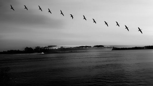 Birds flying over river against sky