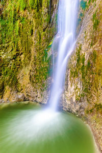 Scenic view of waterfall in forest