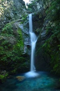 Scenic view of waterfall in forest