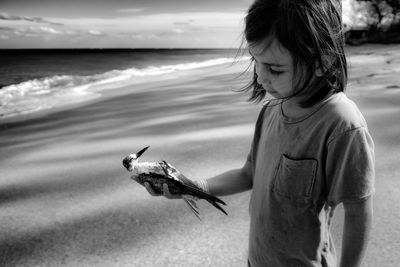 Cute girl holding dead bird while standing at beach