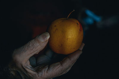 Cropped hand holding apple
