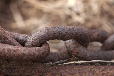 Close-up of rusty chain