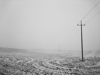 View of trees