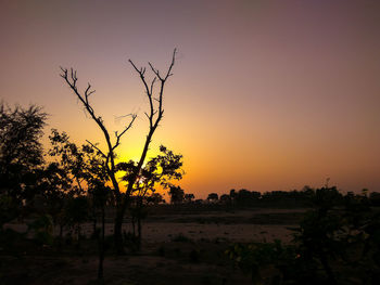 Silhouette trees on field against orange sky