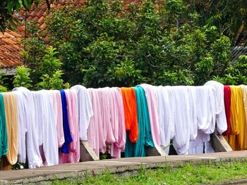 Close-up of clothes drying against trees