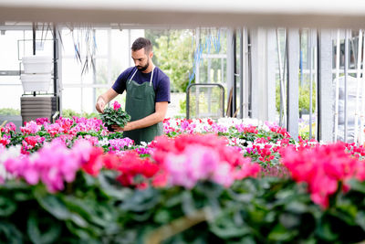 Full length of woman standing in greenhouse