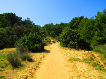 Scenic view of trees against clear sky