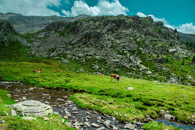 Scenic view of mountains against sky