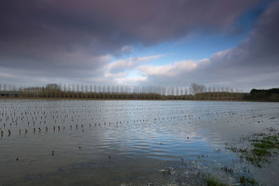 Scenic view of lake against sky