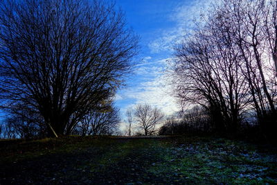 Silhouette bare trees on field against sky