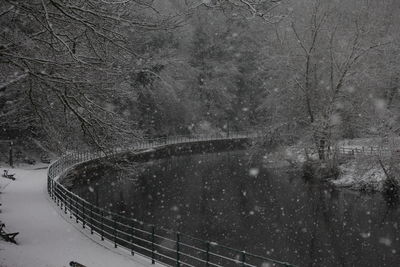 Snow covered road amidst trees in forest