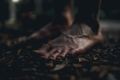 Close-up low section of person with leaves