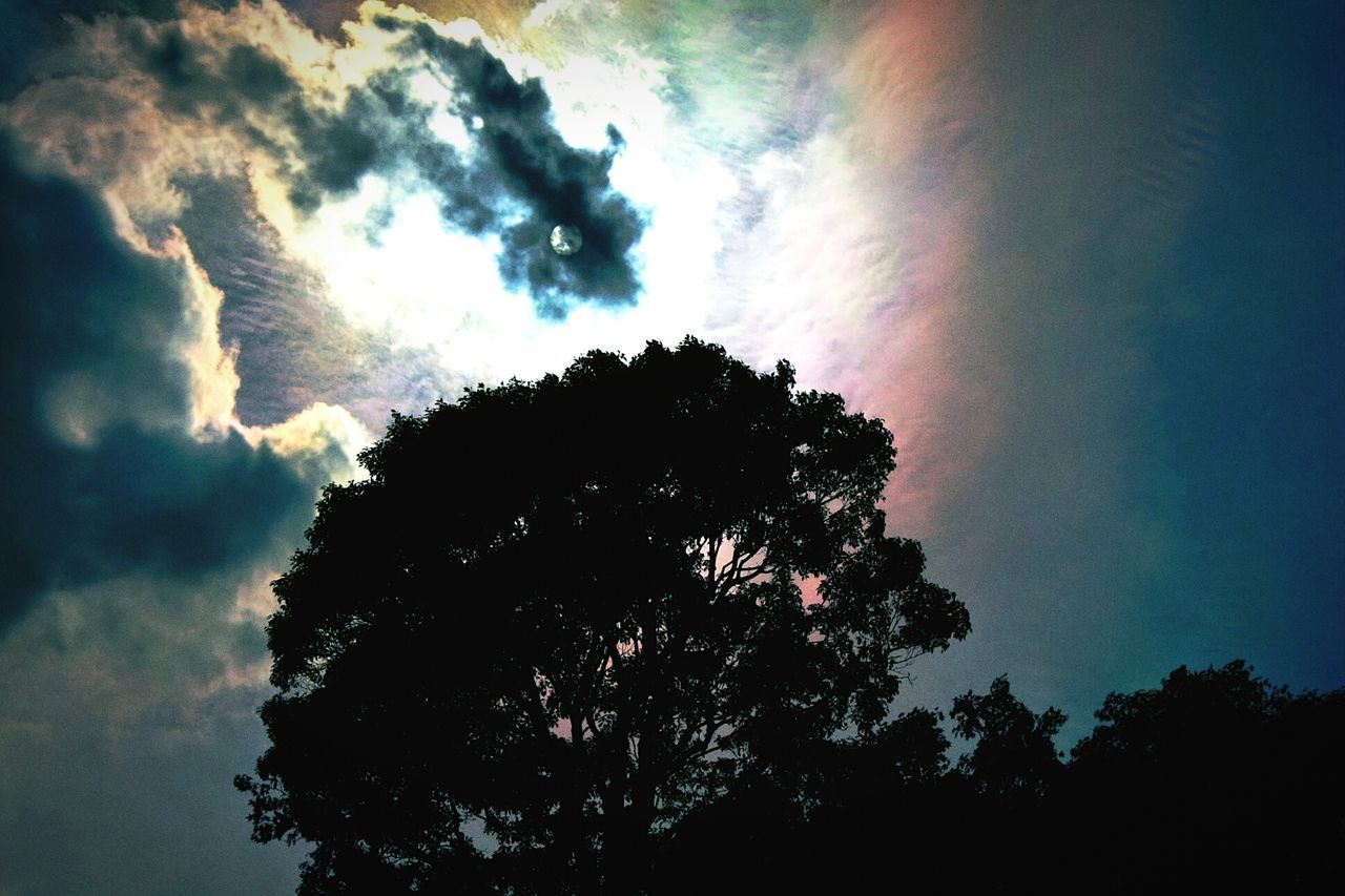 low angle view, sky, silhouette, tree, beauty in nature, tranquility, cloud - sky, scenics, nature, tranquil scene, growth, dusk, cloud, outdoors, idyllic, no people, sunset, blue, cloudy, treetop