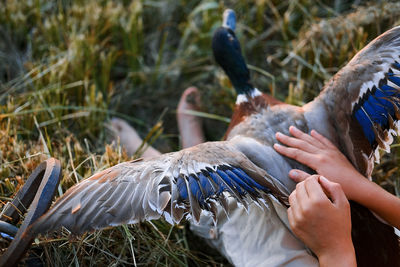 Midsection of person feeding bird