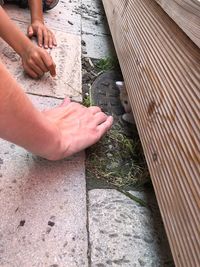 Low section of person on rock