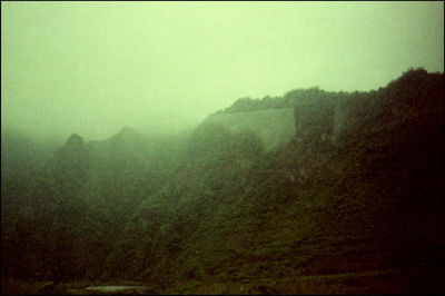 Scenic view of forest against sky during rainy season