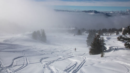 winter