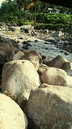 Close-up of pebbles on beach