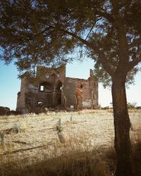 Abandoned house on field against trees