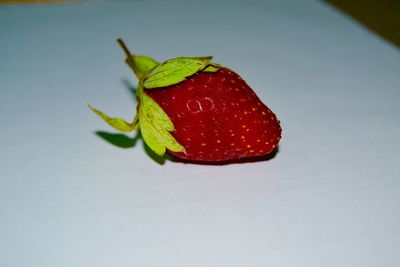 Close-up of red rose in water