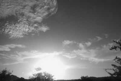 Low angle view of silhouette trees against sky