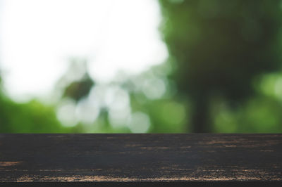 Close-up of wood against sky