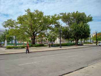 Man walking on footpath in park