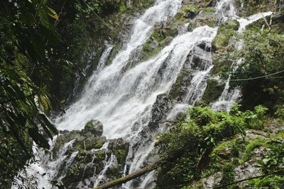 Scenic view of waterfall in forest