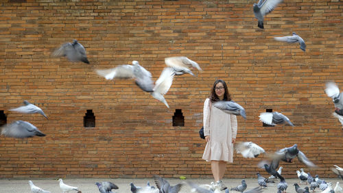 Seagulls flying against brick wall