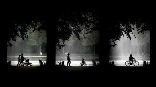 Silhouette people riding bicycle on street in city