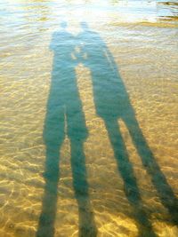 High angle view of shadow on water