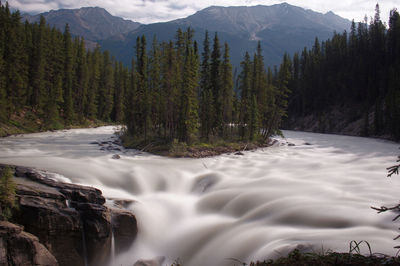 Scenic view of waterfall in forest