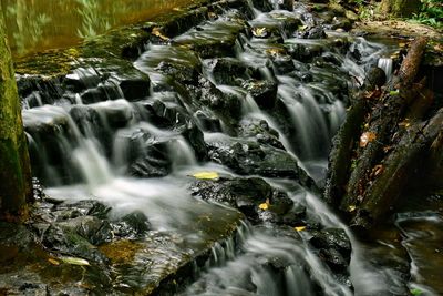 Scenic view of waterfall in forest