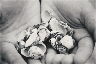 Close-up of man holding hands