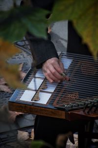 A man in the fall plays the zither